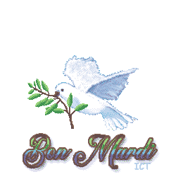 Gif Bon mardi colombe